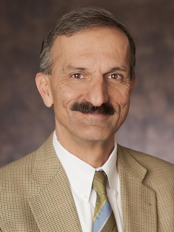 Dr. Hamid Ghandehari