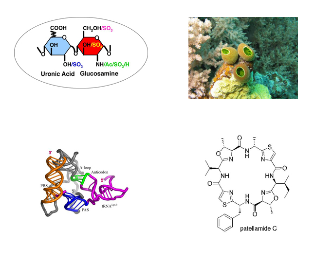 Medchem dean's message image collage molecules