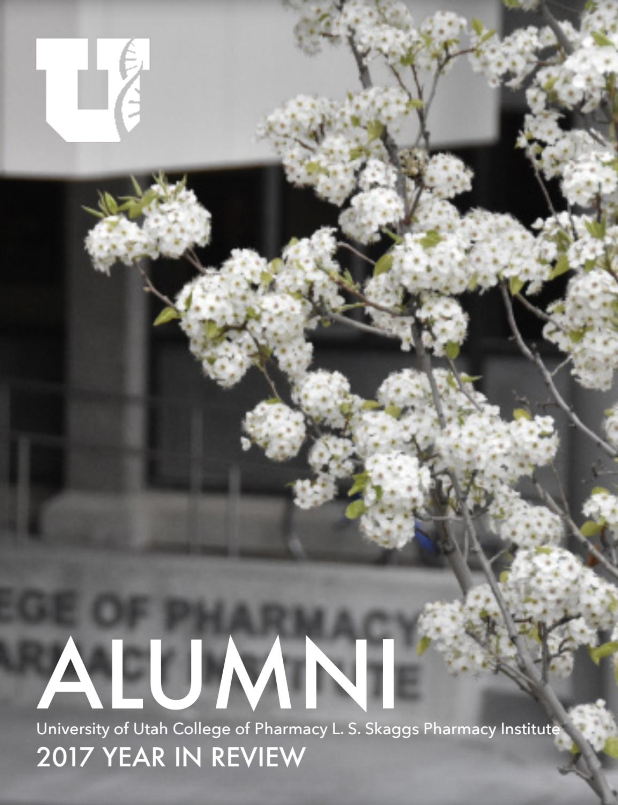 alumni newsletter 2017 year in review