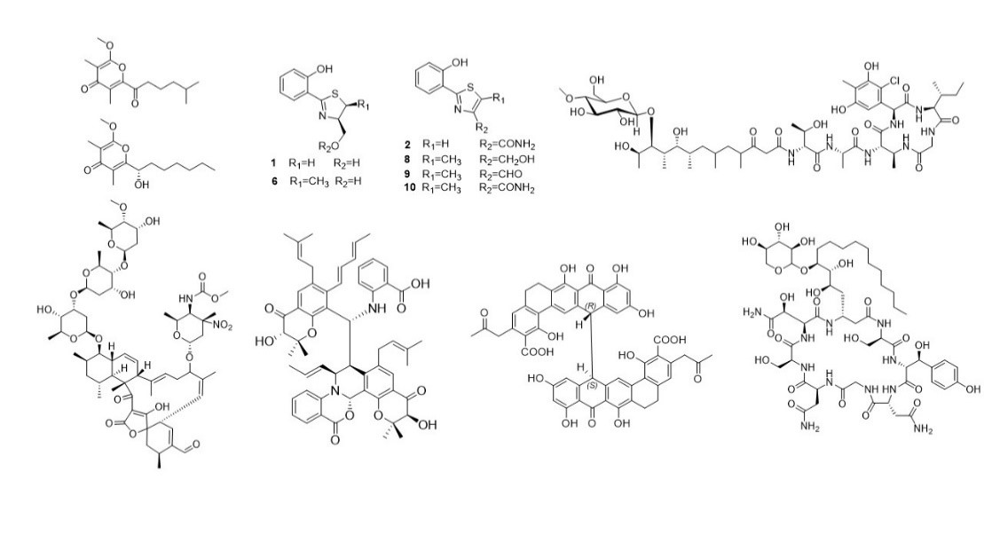 Zhenjian Lin Lab molecular structure