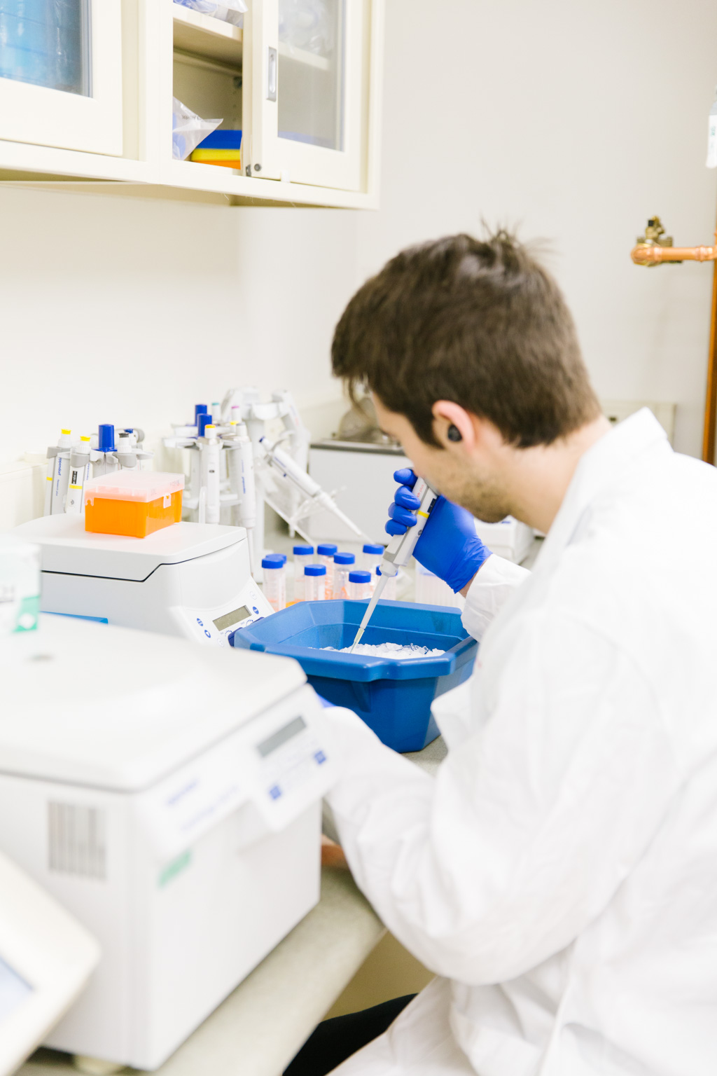 student working in the lab