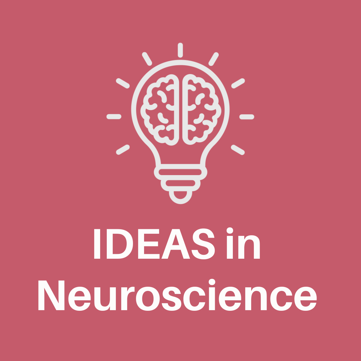 ideas in neuroscience