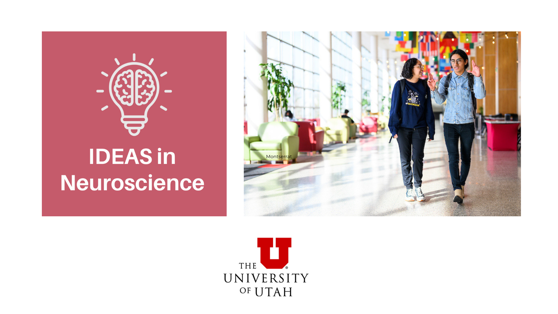 ideas in neuroscience graphic