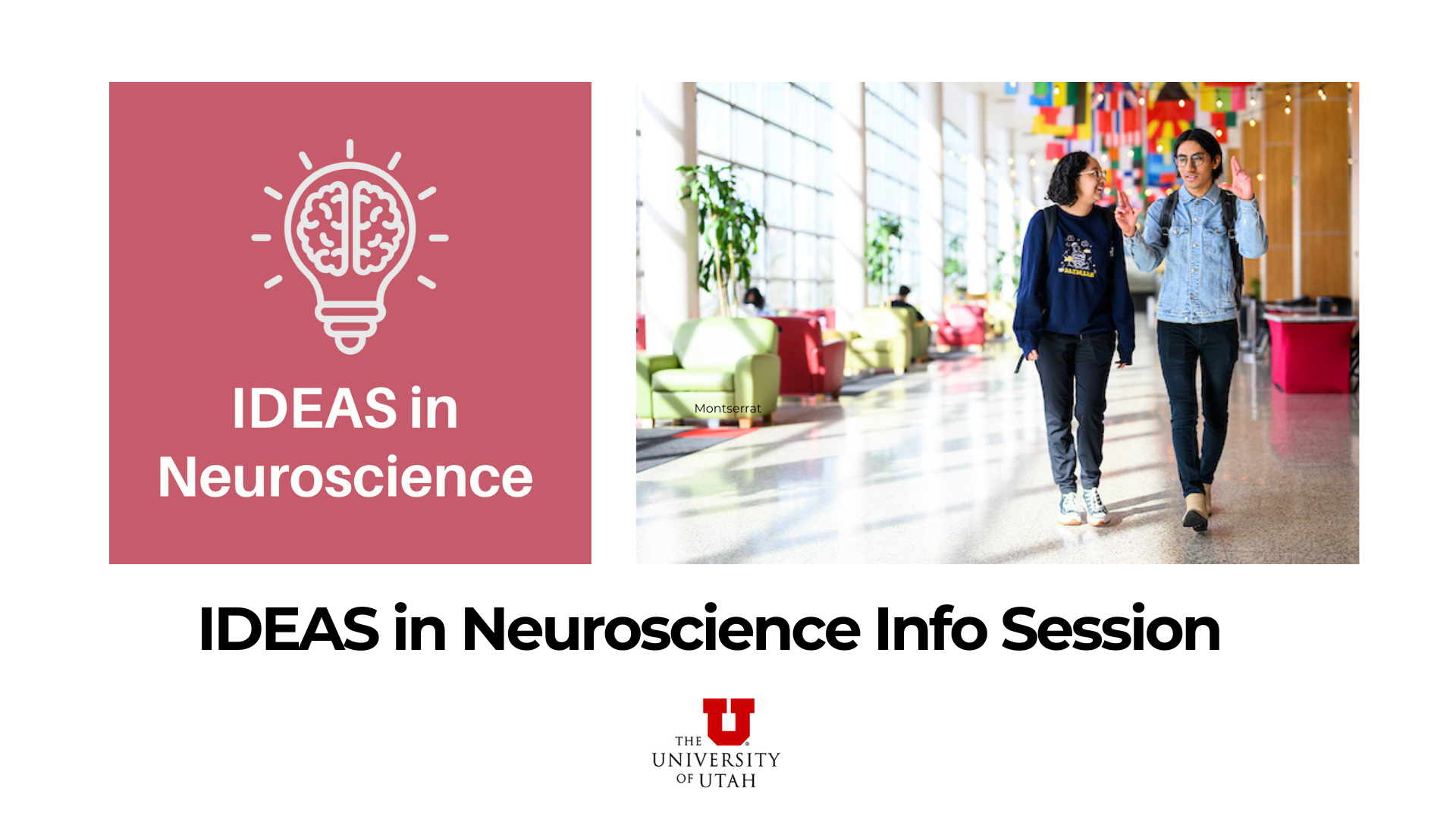 header for IDEAS in Neuroscience--red with white lettering