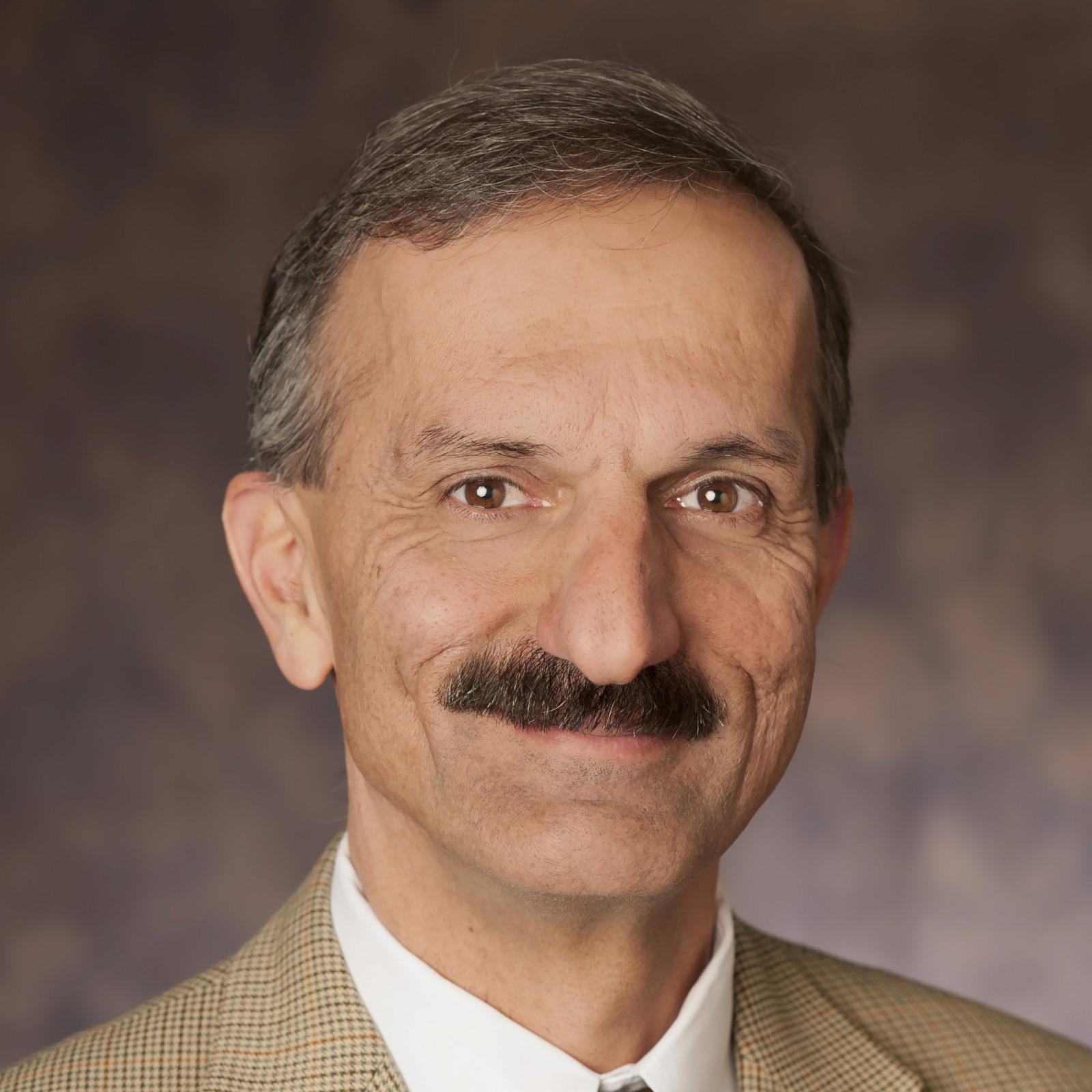 Hamid Ghandehari Headshot Large